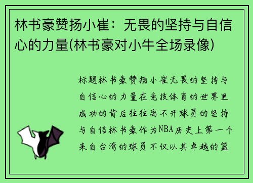 林书豪赞扬小崔：无畏的坚持与自信心的力量(林书豪对小牛全场录像)