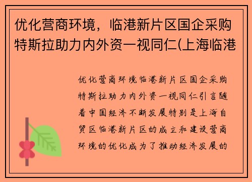 优化营商环境，临港新片区国企采购特斯拉助力内外资一视同仁(上海临港特斯拉配套公司)