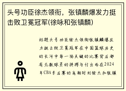 头号功臣徐杰领衔，张镇麟爆发力挺击败卫冕冠军(徐咏和张镇麟)